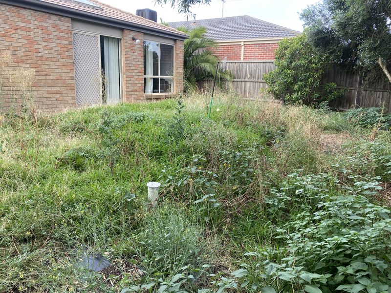 Before lawn mowing service by Starsnation Services Australia in Melbourne west