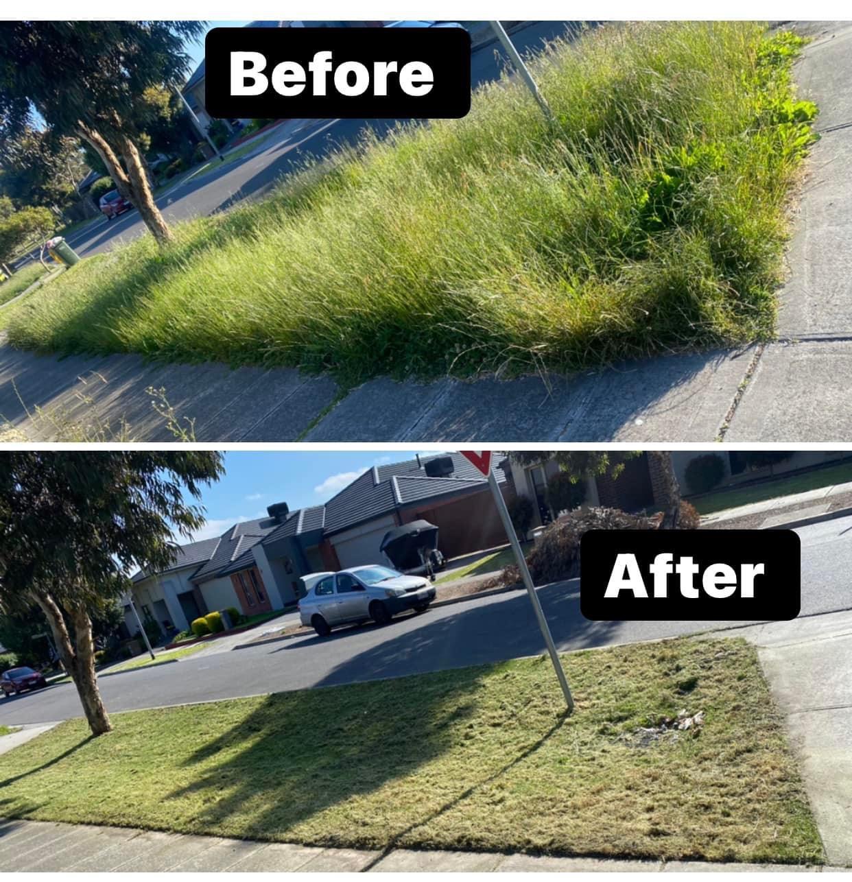 Before and after nature strip mowing by Starsnation Services Australia in Melbourne